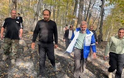  فرماندار ساری: آتش‌سوزی جنگل‌های مرزی ساری و نکا در کمتر از ۹ ساعت مهار شد