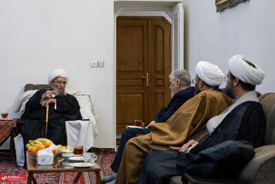  دیدار اعضای کنگره بزرگداشت آیت الله میلانی با آیت الله اشرفی شاهرودی+عکس