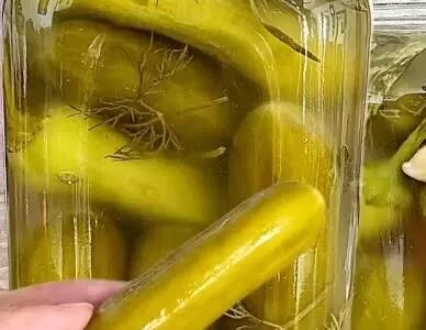  طرز تهیه خیارشور تخمیری پروبیوتیک خوش طعم و عطر با ماندگاری بالا !