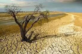  خشکسالی تالاب ها؛ فاجعه‌ای زیست محیطی که امنیت ملی را تهدید می‌کند/شهرستان‌های بروجن، فلارد، خانمیرزا و لردگان بیشترین تنش آبی را دارند