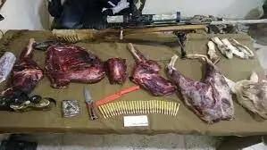  دستگیری سه شکارچی متخلف پرندگان در شادگان