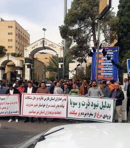  تجمع مرغداران استان فارس/ با این قیمت‌ها ادامه تولید ممکن نیست