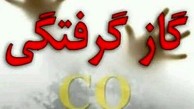  گازگرفتگی ۱۷ نفر در یک سردخانه