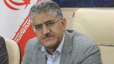  تصویب ۱۳ طرح پرورش مرغ گوشتی در سیستان‌ و بلوچستان / هدف خودکفایی و تبدیل استان به قطب صادرات گوشت سفید