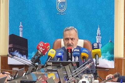 زائران حج امسال در ۵۰۰ کاروان ساماندهی می‌شوند/ ۳۲ درصد ظرفیت پروازها بر عهده شرکت سعودی است