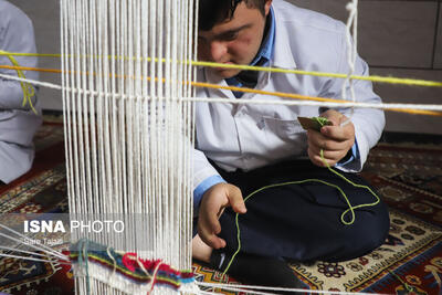  معلولیت، محدودیت نیست؛ روایت سه زندگی پر از اراده