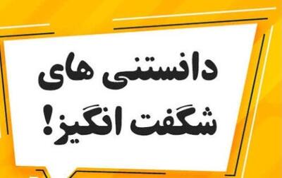  دانستنی ها ۳۳۴۵۶