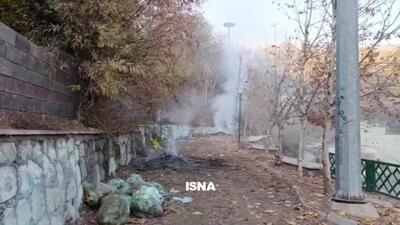  سوزاندن برگ و زباله در هوای بحرانی تهران