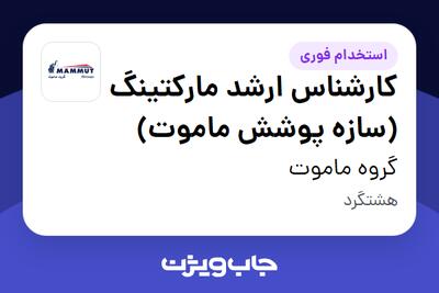  استخدام کارشناس ارشد مارکتینگ (سازه پوشش ماموت) در گروه ماموت