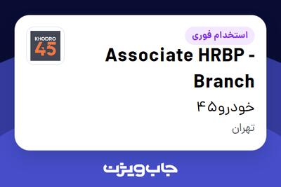  استخدام Associate HRBP - Branch در خودرو45