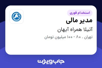  استخدام مدیر مالی در آتیلا همراه آیهان