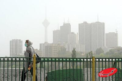  ببینید | سوزاندن برگ و زباله در هوای بحرانی تهران - کلبه سرگرمی