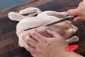  مرغ ۱۰۰ هزار تومانی قالیباف، شعار یا واقعیت؟ / اسدالله‌نژاد: این حرف‌های سیاسی است، نهاده‌ها نایاب‌شده، قیمت سربه فلک‌کشیده  - کلبه سرگرمی