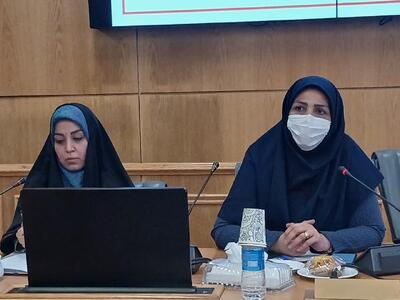  حامد:صنایع دستی بهترین فرصت اشتغال زایی بانوان است