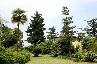  از گرداگرد جهان در لاهیجان گیلان