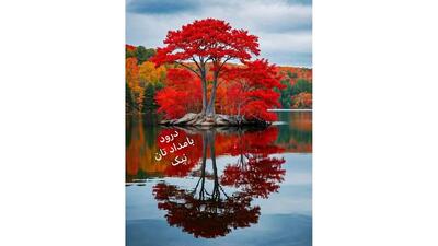  فال ابجد واقعی 12 آذر