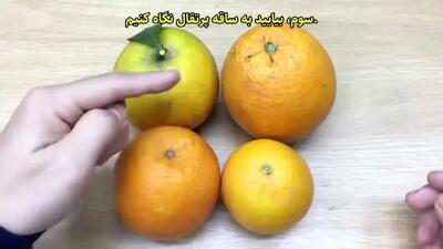  با این ترفند همیشه پرتقال طبیعی و خوشمزه و تازه و پرآب انتخاب کن