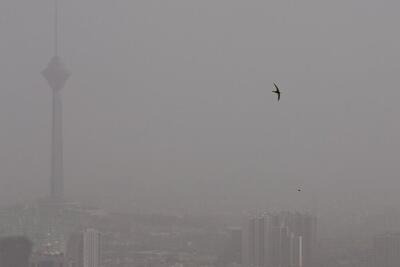  تهران هفته آینده تعطیل می‌شود؟