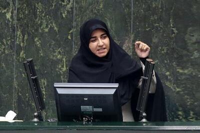  فلاحی: آیا عاقلانه نبود به جای وقت صرف کردن برای نجات ۱۸۰۰ زندانی مهریه، وقت مجلس را صرف زندانی کردن بدهکاران ارزی می‌کردیم؟ + فیلم