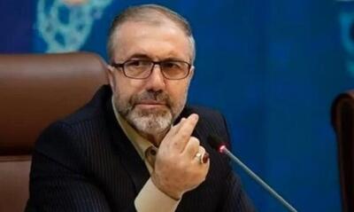  توضیحات دبیر کل ستاد مبارزه با مواد مخدر در مورد کشت خشخاش در ایران /ذوالفقاری: به جای خشخاش  شقایق اولیفرا  می‌کاریم