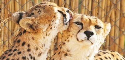  امید به مادرشدن «آذر» و «توران» در دل بحران تغییر اقلیم