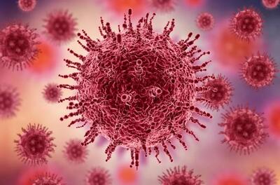  مبارزه با ایدز ساده‌تر می‌شود؛ بهبودی هفتمین بیمار مبتلا به HIV با پیوند سلول‌های بنیادی