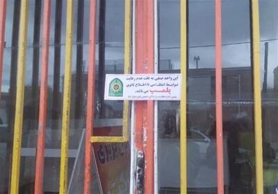  بازرسی 36 هزار نانوایی لرستان/ 1670 پرونده تخلف تشکیل شد - تسنیم