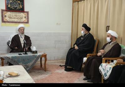  آیت‌الله مکارم شیرازی: آستان‌های مقدس ظرفیت بزرگ معرفی مکتب اهل‌بیت(ع) به جهان‌اند - تسنیم