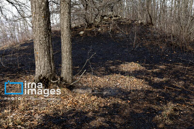  سوز و گداز دیزمار