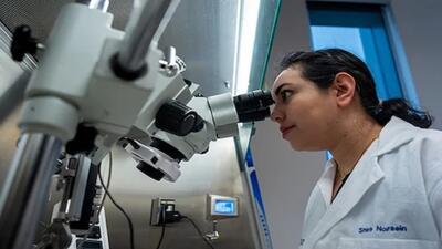  نشانگرهای سرمی جدید فعالیت ژن‌های مغز را به سرعت و با دقت بالا رصد می‌کنند