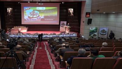  فاجعه زیست محیطی در قم؛ تنها هزار هکتار خاک حاصلخیز  باقی مانده است