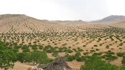  افزایش نگران‌کننده کانون‌های بحرانی فرسایش بادی در خراسان جنوبی