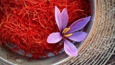  موارد تقلب در پودر و عصاره‌های زعفران افزایش یافته است