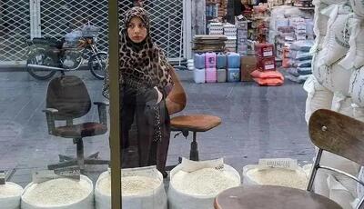  جزئیات قیمت جدید برنج هندی و پاکستانی