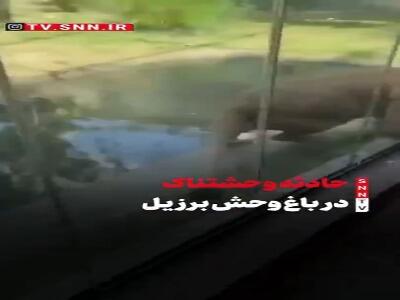  حادثه وحشتناک در باغ‌وحش برزیل
