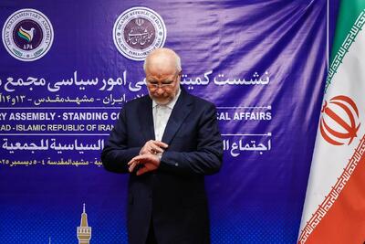  گزارش صداوسیما از نشست کمیتهٔ دائمی امور سیاسی مجمع مجالس آسیایی در مشهد