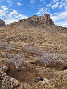 کوه بش استهبان در استان فارس