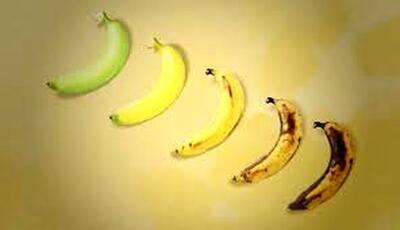  همۀ آنچه باید دربارۀ «رنگ موز» بدانیم