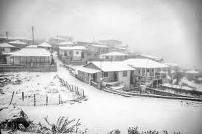  این ویدئوی آرامش‌بخش را از دست ندهید؛ گوسفندان در چالوس سفیدپوش شدند