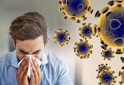  سونامی آنفولانزا در خراسان جنوبی