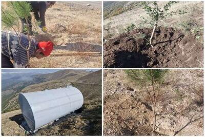  باقریان: احیای جنگلهای قره‌داغ محور راهبردی محیط‌زیست سونگون است
