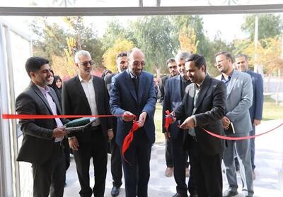  مرکز «شوق زندگی» یزد برای مدیریت آسیب‌های اجتماعی افتتاح شد