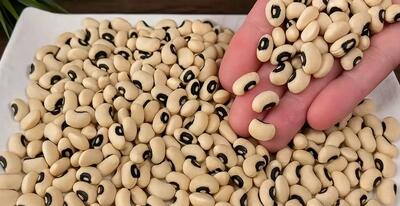  با یه مشت لوبیا چشم بلبلی یه غذای ساده و خوشمزه پختم و همه رو شوکه کردم !