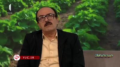  بخش‌هایی از کشور که ممکن است مورد حمله ملخ‌های مهاجر قرار بگیرد