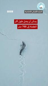  رد چشمگیر عبور فوک روی برف در قطب جنوب