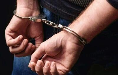  ۲ متهم با یک دستگاه فلزیاب قاچاق دستگیر شدند