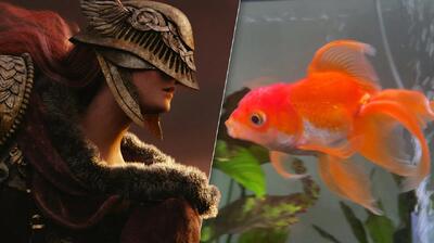  وداع با تورتلینی؛ ماهی قرمزی که باس‌های Elden Ring را از پا درآورد - گیمفا