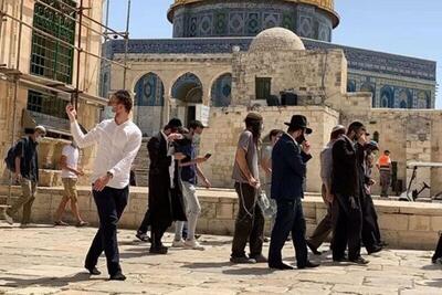  یک سازمان فلسطینی : تخلفات و تهاجم تل آویو به مسجدالاقصی  افزایش یافته است