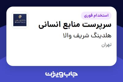  استخدام سرپرست منابع انسانی در هلدینگ شریف والا