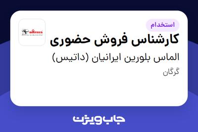  استخدام کارشناس فروش حضوری - آقا در الماس بلورین ایرانیان (داتیس)